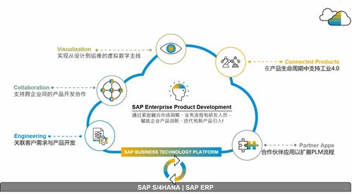 SAP供應鏈云三套產品落地中國，官方培訓課程助您操作無憂，管理高效